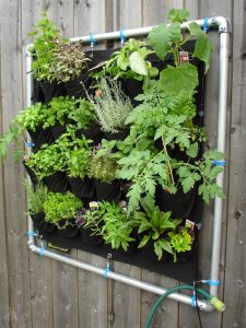 hanging garden
