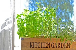 window garden