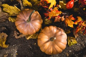 header-five adjustments to make during the fall season