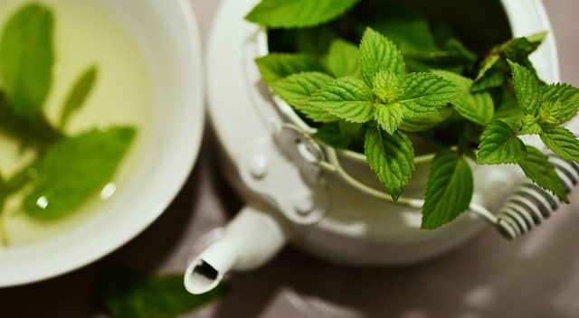tea pot of peppermint tea