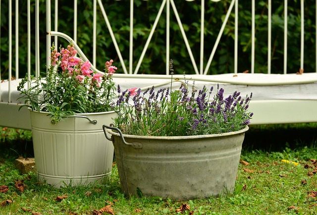 container domestic gardening