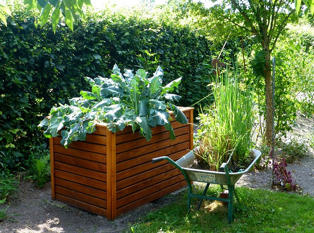 raised bed domestic gardening