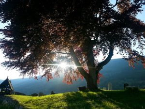 Thanksgiving reminders-lost of loved one