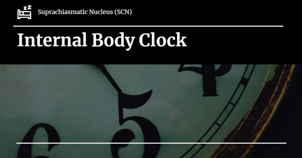 Sleep Understanding your Body Clock Friends Life Care